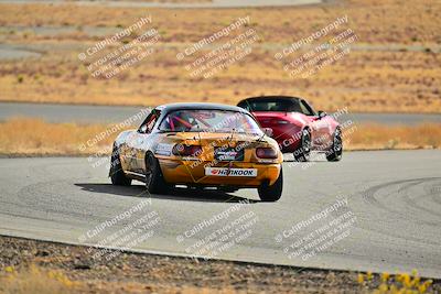 media/Dec-08-2024-Extreme Speed (Sun) [[1809d52206]]/Purple Group/Session 1 (Turn 2)/